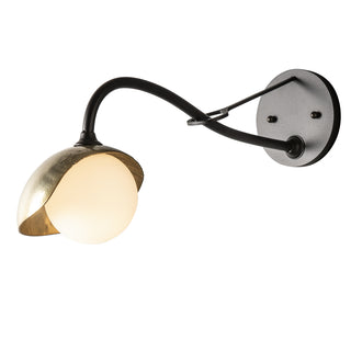 Brooklyn Brooklyn 1-Light Single Shade Long-Arm Sconce in Black