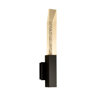 Refraction Refraction Outdoor Sconce in Coastal Black