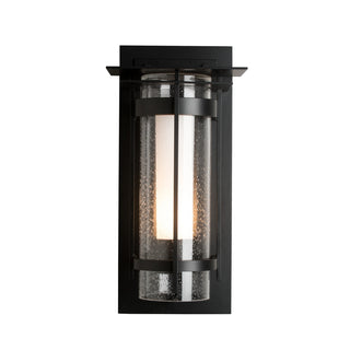Torch Torch with Top Plate Outdoor Sconce in Coastal Black