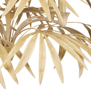 Calliope Five Light Chandelier in Coco Cream