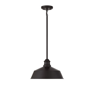 One Light Pendant in Oil Rubbed Bronze