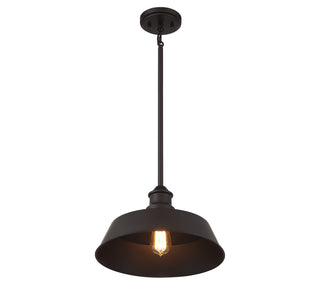 One Light Pendant in Oil Rubbed Bronze