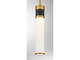 Abel LED Mini Pendant in Matte Black with Warm Brass Accents
