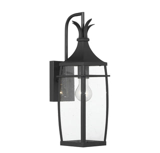 Montpelier One Light Outdoor Wall Lantern in Matte Black