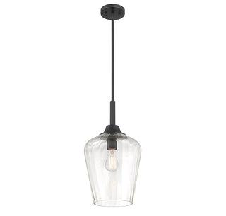Carlton One Light Pendant in Matte Black