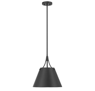 Willis One Light Pendant in Matte Black
