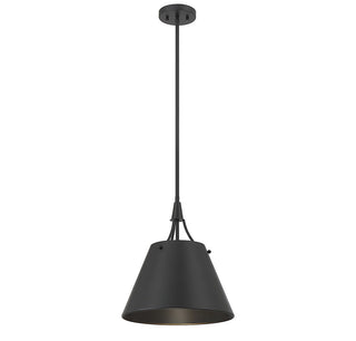 Willis One Light Pendant in Matte Black