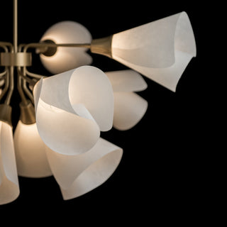 Mobius Mobius 12-Light Pendant in Soft Gold