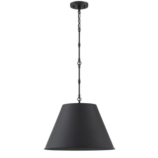 Alden One Light Pendant in Matte Black