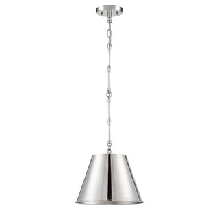 Alden One Light Pendant in Polished Nickel