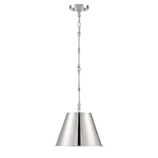Alden One Light Pendant in Polished Nickel