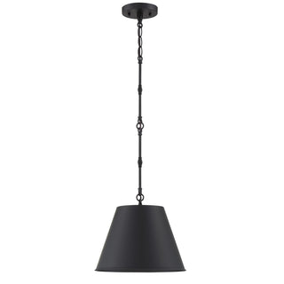 Alden One Light Pendant in Matte Black