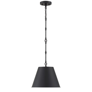 Alden One Light Pendant in Matte Black