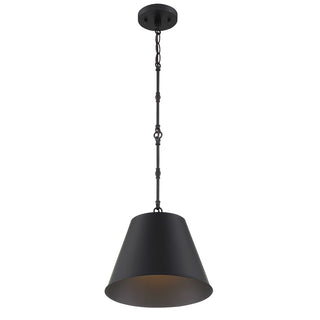 Alden One Light Pendant in Matte Black