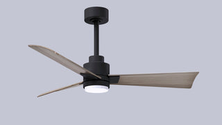 Alessandra - LK 42" Ceiling Fan in Matte Black