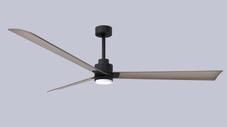 Alessandra - LK 72" Ceiling Fan in Matte Black