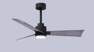 Alessandra - LK 42" Ceiling Fan in Matte Black
