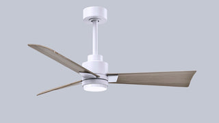 Alessandra - LK 42" Ceiling Fan in Matte White