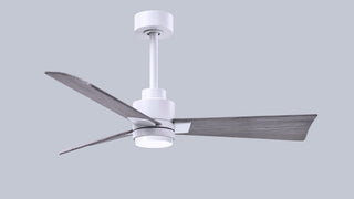 Alessandra - LK 42" Ceiling Fan in Matte White