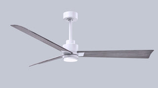 Alessandra - LK 56" Ceiling Fan in Matte White