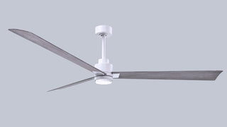 Alessandra - LK 72" Ceiling Fan in Matte White