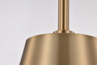Alexis One Light Pendant in Burnished Brass / Gold