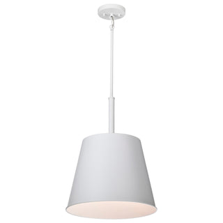 Alexis One Light Pendant in Matte White