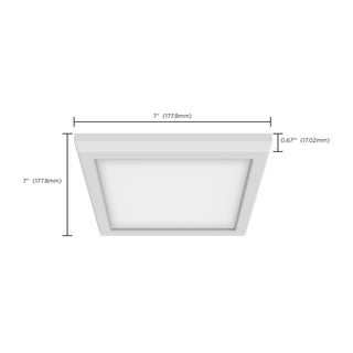 LED Fixture in White