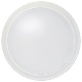 LED Disk Light in White