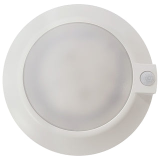 LED Disk Light in White