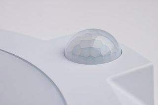 LED Disk Light in White