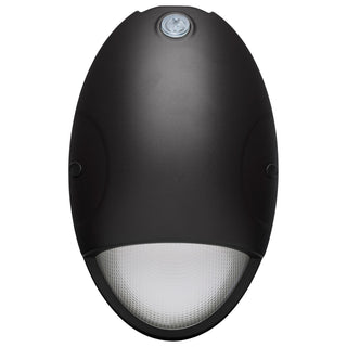 LED Wall Pack in Black