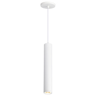 Century LED Pendant in Matte White