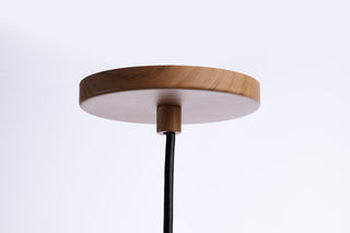 Century LED Pendant in Ash Wood
