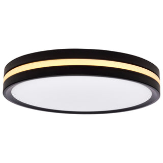 LED Flush Mount in Matte Black