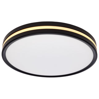 LED Flush Mount in Matte Black
