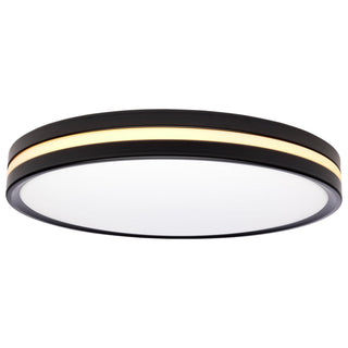LED Flush Mount in Matte Black