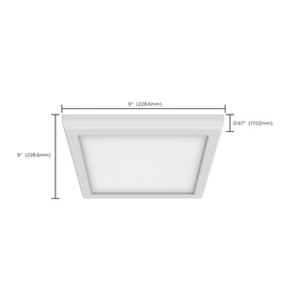 LED Flush Mount in White
