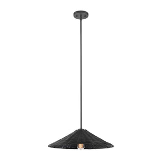 One Light Pendant in Matte Black