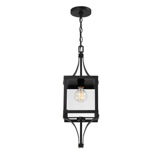 Raeburn One Light Outdoor Hanging Lantern in Matte Black and Weathered Brushed Brass