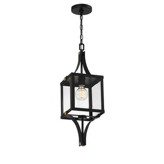 Raeburn One Light Outdoor Hanging Lantern in Matte Black and Weathered Brushed Brass