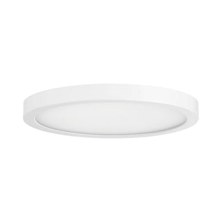 LED Flush Mount in White