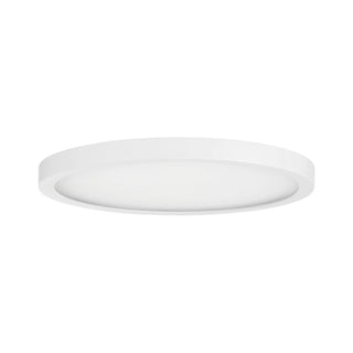LED Flush Mount in White