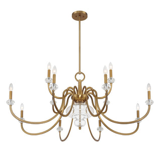 Bergdorf 12 Light Chandelier in Warm Brass