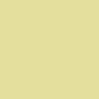 Alessandra Tropical 48" Ceiling Fan in Textured Bronze