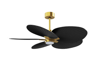 Alessandra Tropical - LK 48" Ceiling Fan in Brushed Brass