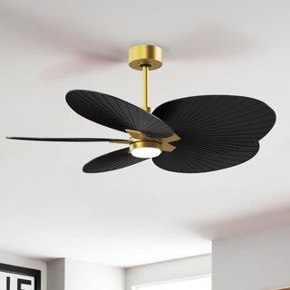Alessandra Tropical - LK 48" Ceiling Fan in Brushed Brass