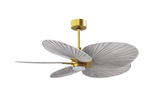 Alessandra Tropical - LK 48" Ceiling Fan in Brushed Brass