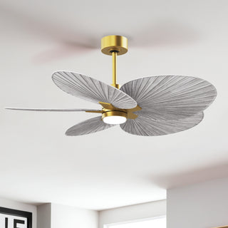 Alessandra Tropical - LK 48" Ceiling Fan in Brushed Brass