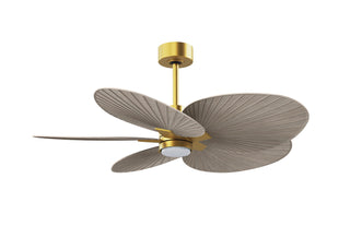 Alessandra Tropical - LK 48" Ceiling Fan in Brushed Brass